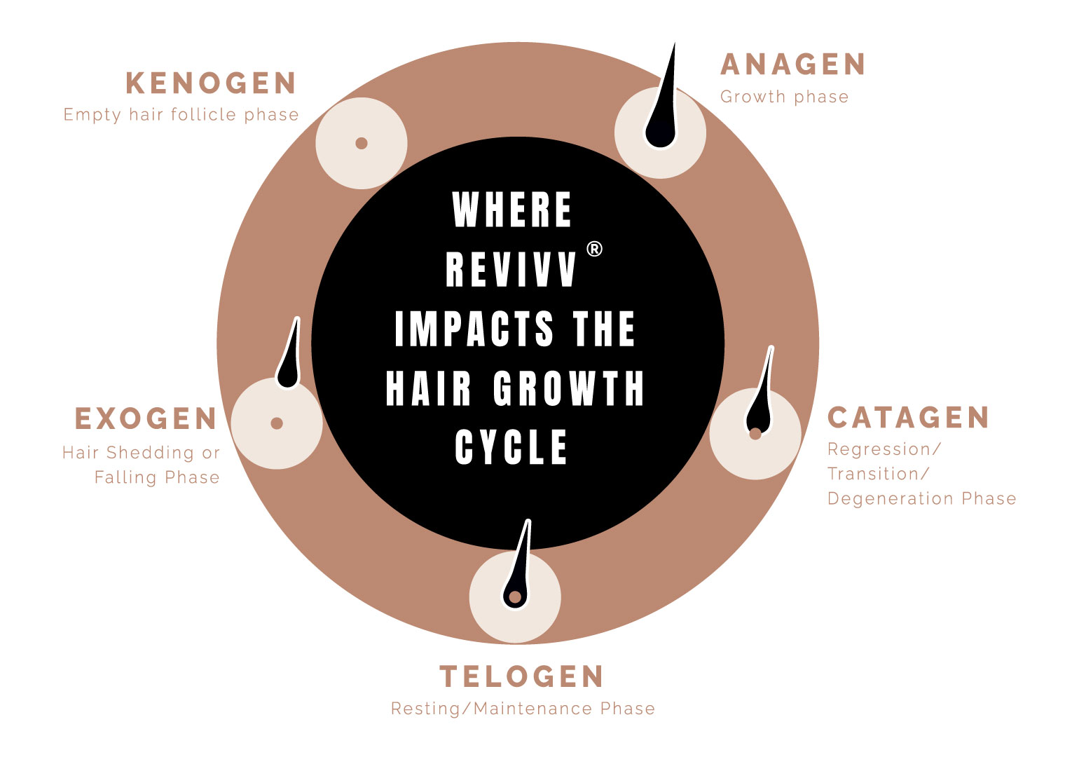 Revivv Can Bring Your Kenogen Hairs Back To Life Ask Us Beauty Magazine 2958